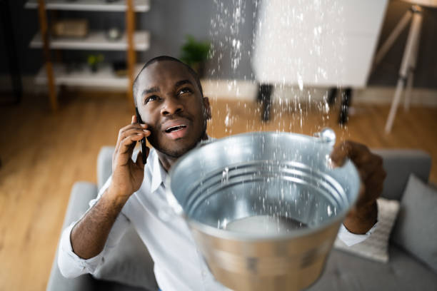 Best 24/7 water damage repair  in Milford, UT