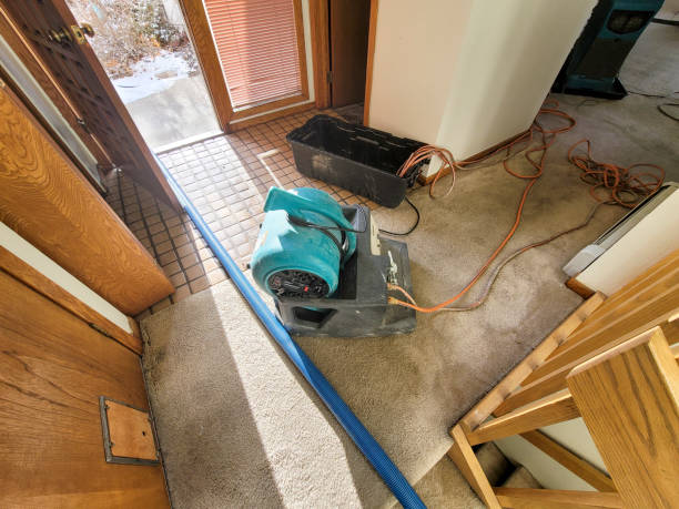 24/7 water damage repair in UT