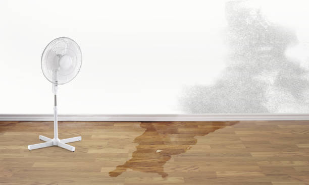 Best Flood damage cleanup  in Milford, UT