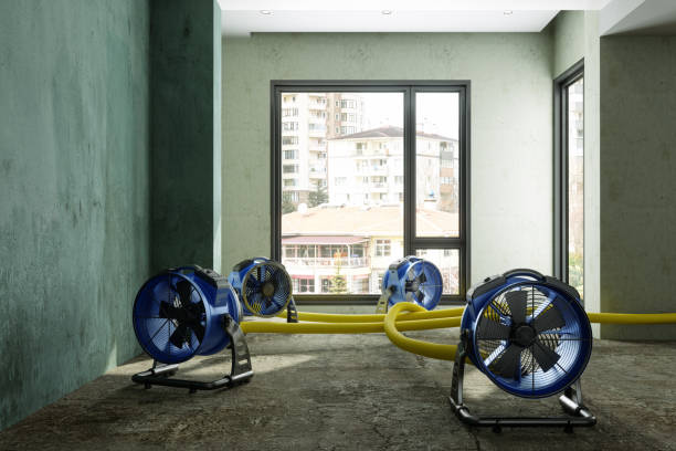 Best Emergency water damage restoration  in Milford, UT