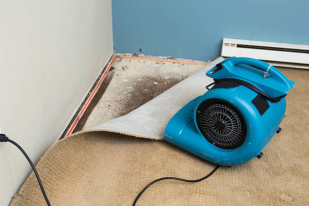 Best Local water damage restoration  in Milford, UT